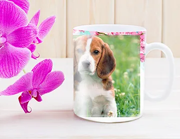 Pet photo mug 2