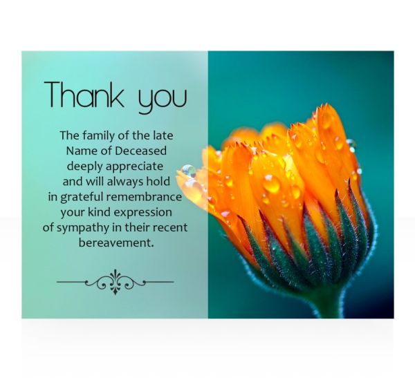 Thank you cards-50